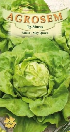 Seminte salata - Seminte Salata May Queen 12g Agrosem - Soi Timpuriu si Fraged pentru Primavara
