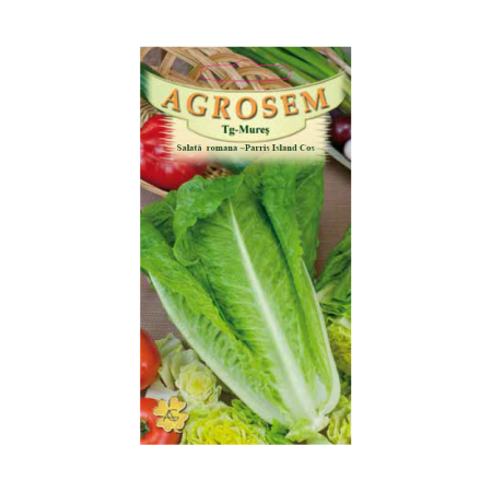 Seminte salata - Seminte Salata romana Parris Island 1.5g Agrosem - Salata pentru Caesar Crocanta