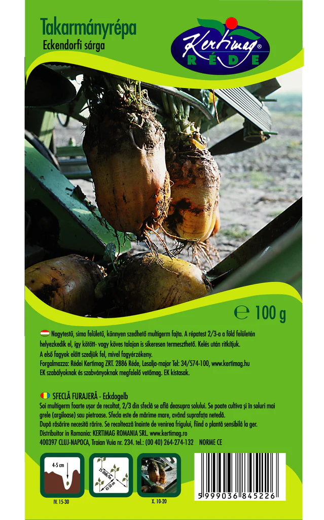 Seminte sfecla - Seminte Sfecla Furajera Eckedogelb 100g Kertimag - Sfecla Furajera Galbena Uriasa