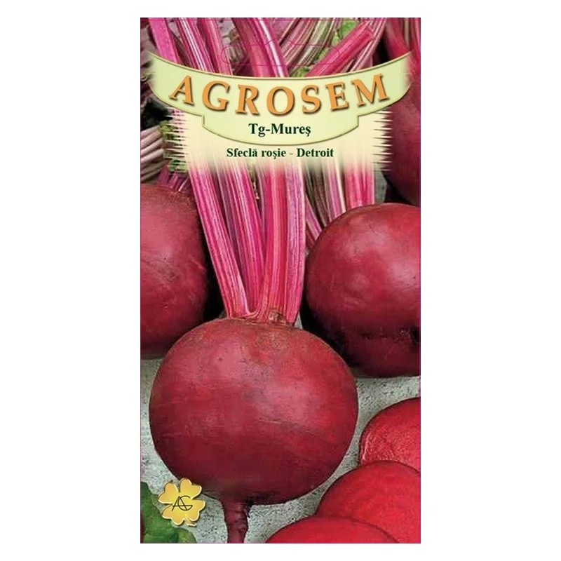 Seminte sfecla - Seminte Sfecla Rosie Detroit 4g Agrosem - Soi Clasic Rotund si Productiv