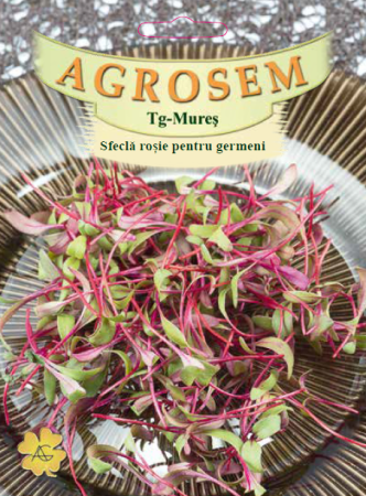 Seminte - Seminte Sfecla Rosie pentru Germeni 10g Agrosem - Microplante Bogate in Vitamine