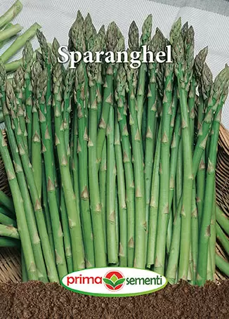 Verdeturi - Seminte Sparanghel Prima Sementi 0,2g - Cultura Perena Gourmet