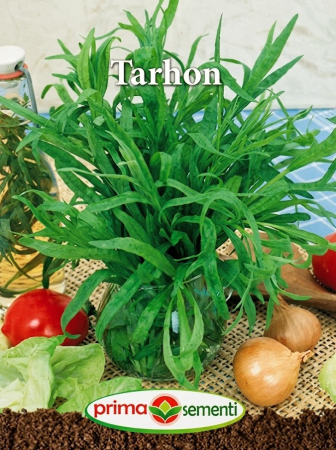 Seminte plante aromatice - Seminte Tarhon 0.5g - Planta Aromatica Perena