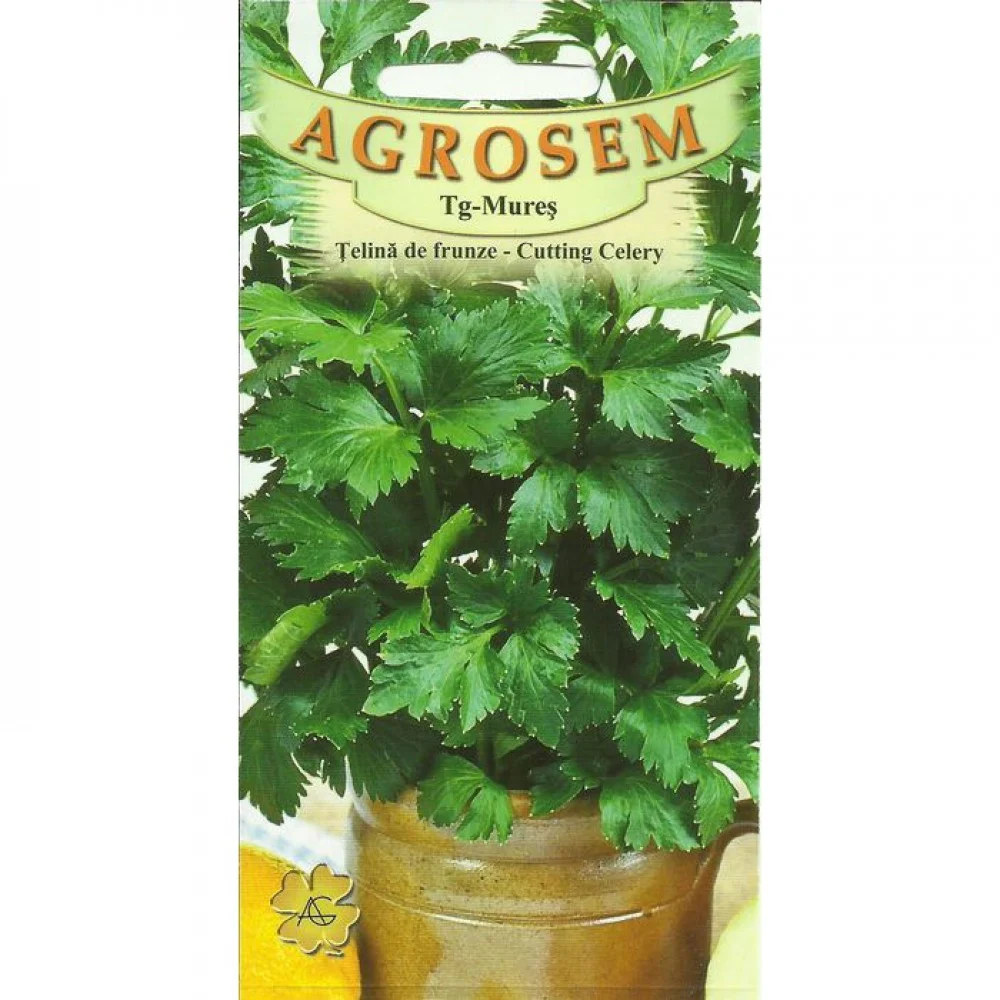Seminte telina - Seminte Telina de Frunze Cutting Celery 1g Agrosem - Aroma Intensa