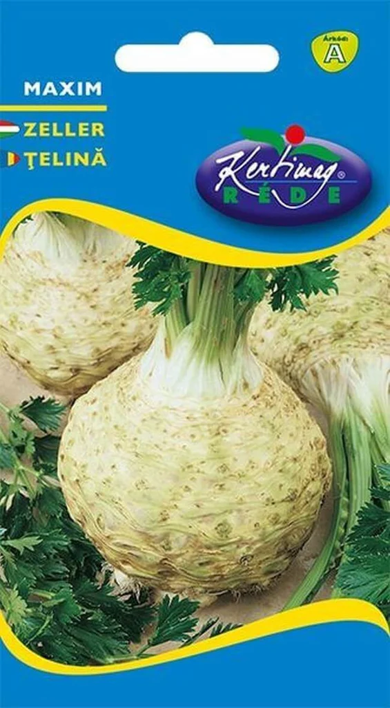 Seminte telina - Seminte Telina de radacina Maxim 1g Kertimag - Soi Productiv cu Capacitate Mare de Pastrare
