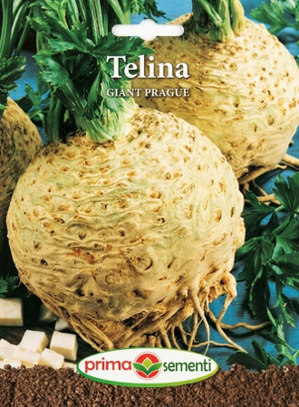 Seminte telina - Seminte Telina Giant Prague 2g - Uriasa de Praga