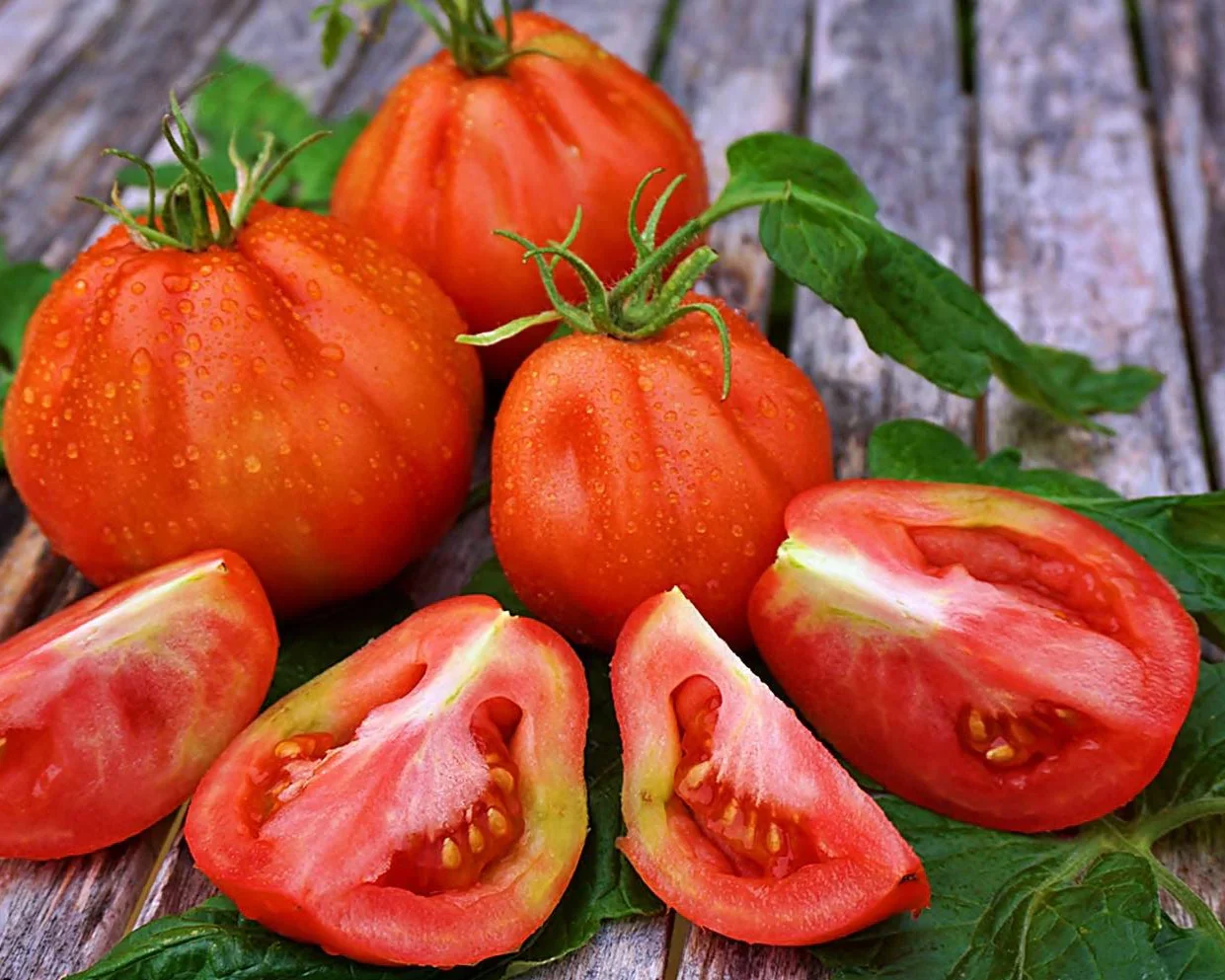 Seminte Tomate Canestrino 0.3g - Soi Traditional Italian Fructe Carnoase [1]