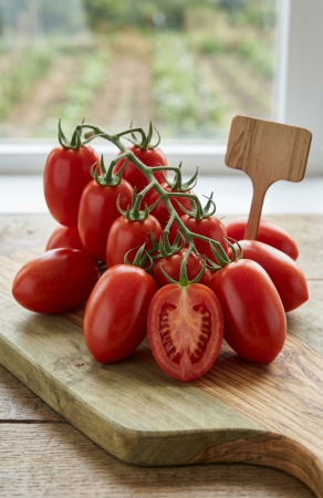 Seminte Tomate Datterino F1 0.3g - Hibrid Profesional Tip Para Foarte Dulce si Productiv [1]