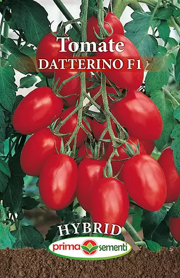 Seminte rosii - Seminte Tomate Datterino F1 0.3g - Hibrid Profesional Tip Para Foarte Dulce si Productiv