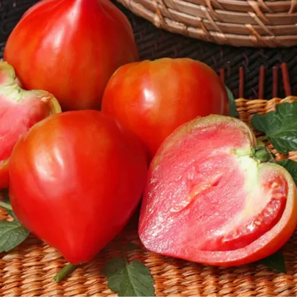 Seminte Tomate Inima de Bou 0.3g - Rosii Traditionale Mari si Carnoase [1]