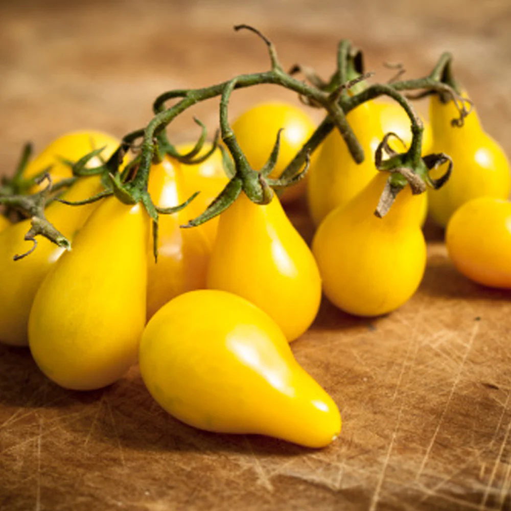 Seminte Tomate Perun 0.5g Kertimag - Rosii Galbene tip Para, Dulci si Decorative [1]