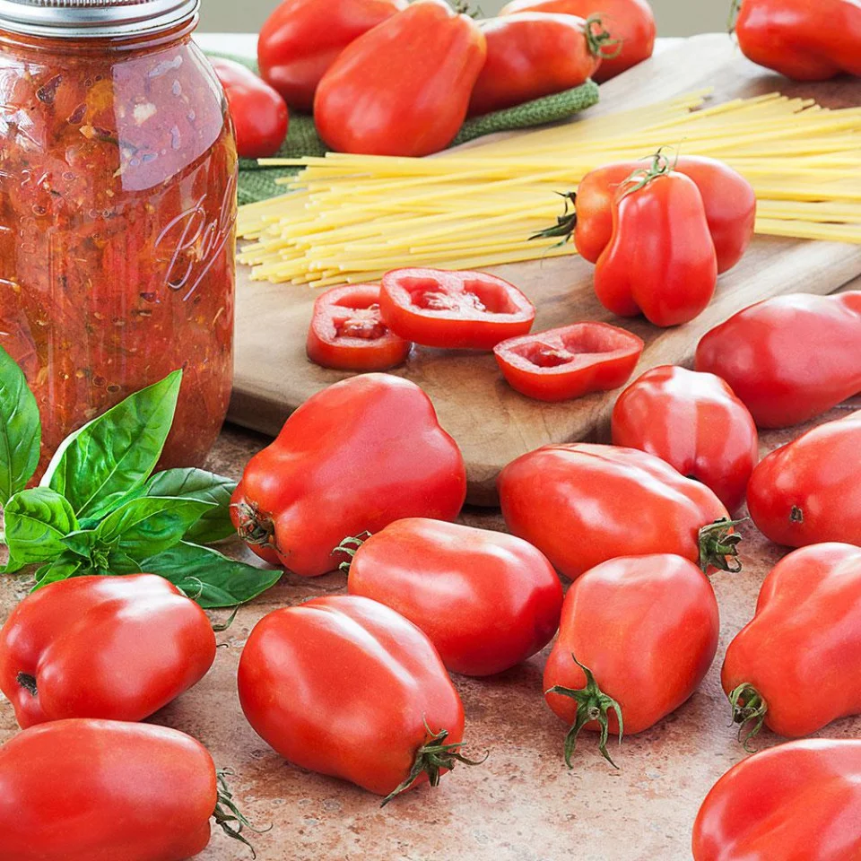 Seminte Tomate San Marzano 3 0.4g Agrosem - Cele mai bune Rosii pentru Bulion si Sos [1]
