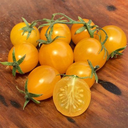 Seminte Tomate Yellow Cherry 0.2g Agrosem - Rosii Cherry Galbene Dulci si Productive [1]