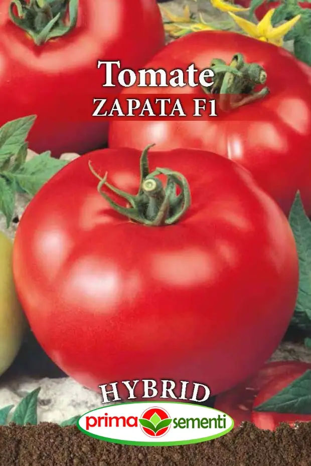 Seminte rosii - Seminte Tomate Zapata F1 0.2g - Hibrid Profesional Nedeterminat Foarte Productiv si Gustos
