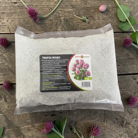 Seminte Trifoi Rosu Rozeta, Punga 1 kg, Prima Sementi, Productivitate Ridicata si Rezistenta la Ger [1]