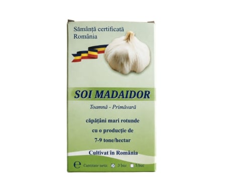 Arpagic - Seminte Usturoi de Plantat Madaidor Cutie 3 Bulbi - Soi Certificat cu Aromara Intensa si Bulb Mare
