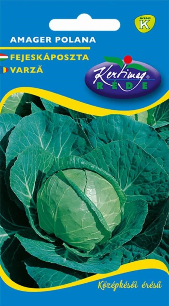 Seminte varza - Seminte Varza Amager 2g Kertimag - Soi Tardiv Excelent pentru Depozitare