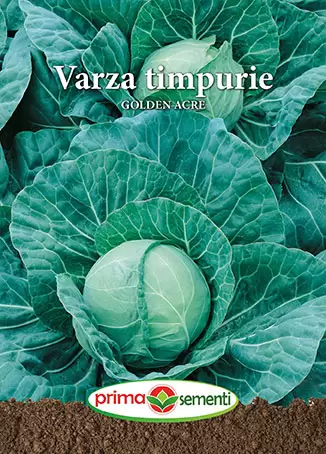 Seminte - Seminte Varza Timpurie Golden Acre 5g - Soi Rapid si Productiv pentru Salate
