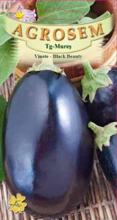 Seminte Vinete - Seminte Vinete Black Beauty 2g Agrosem - Soi Productiv Fructe Mari