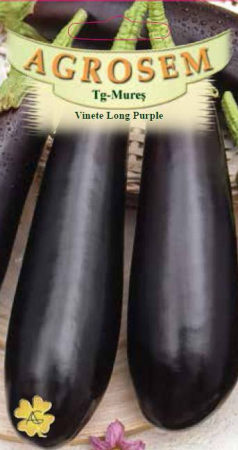 Seminte Vinete - Seminte Vinete Long Purple 2g Agrosem - Soi Semitimpuriu Fructe Alungite