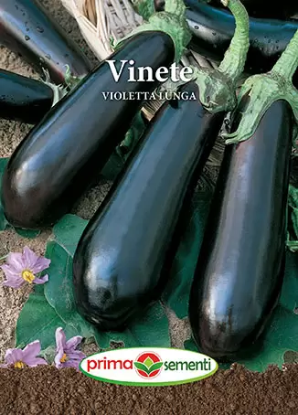 Seminte - Seminte Vinete Violetta Lunga 2g - Soi Timpuriu si Productiv pentru Gratar si Zacusca