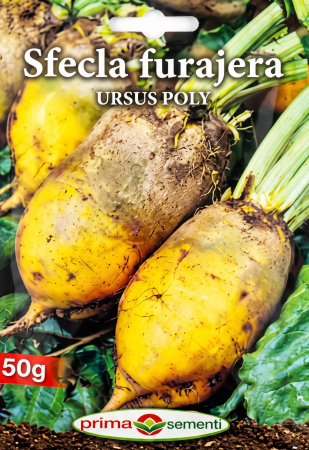 Seminte sfecla - Seminte Sfecla Furajera Ursus Poly 50g - Soi Galben Productiv si Usor de Recoltat