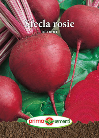 Seminte sfecla - Sfecla rosie Detroit, 5g