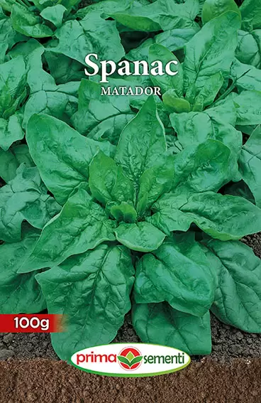 Seminte - Spanac Matador 100g – Frunze Mari, Fragede, Rezistent la Temperaturi Scazute