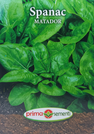 Verdeturi - Seminte Spanac Matador 500g Soi Timpuriu si Productiv pentru Primavara si Toamna