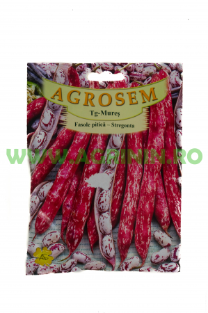 Seminte fasole - Fasole pitică Stregonta 100g