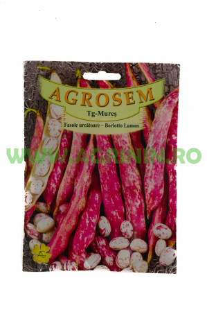 Seminte fasole - Fasole urcătoare Borlotto Lamon 50g