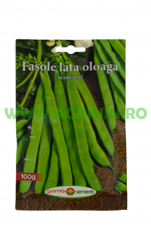 Seminte fasole - Fasole lată oloagă Marconi 100g