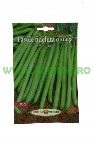 Seminte fasole - Fasole fideluță oloagă Wotter 100g