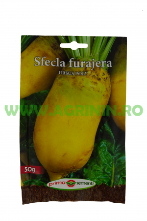 Seminte sfecla - Sfeclă furajeră Ursus Poly 50g
