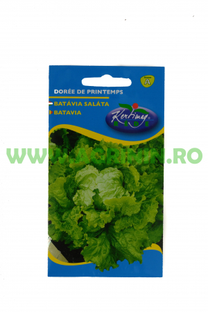 Seminte salata - Salată Batavia Doree de printemps 2g
