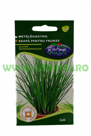 Seminte ceapa - Ceapă pentru frunze