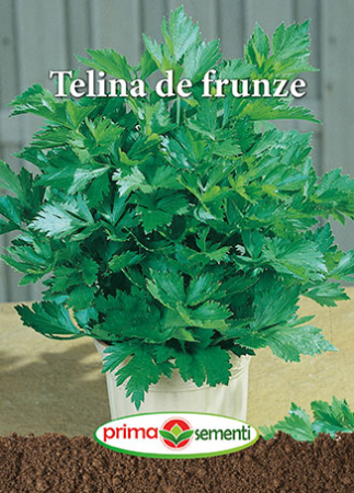 Seminte telina - Telina de frunze