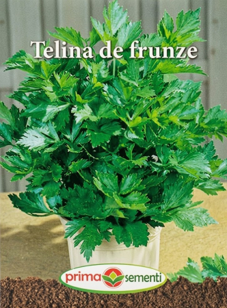 Seminte telina - Seminte Telina de Frunze 1.5g - Soi Aromat si Productiv