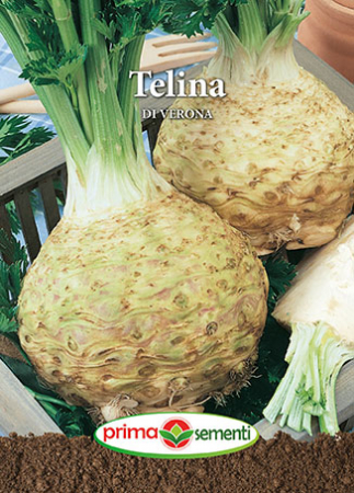 Seminte telina - Telina Di Verona 2gr
