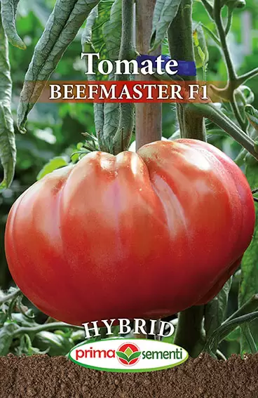 Seminte legume - Tomate Beefmaster F1