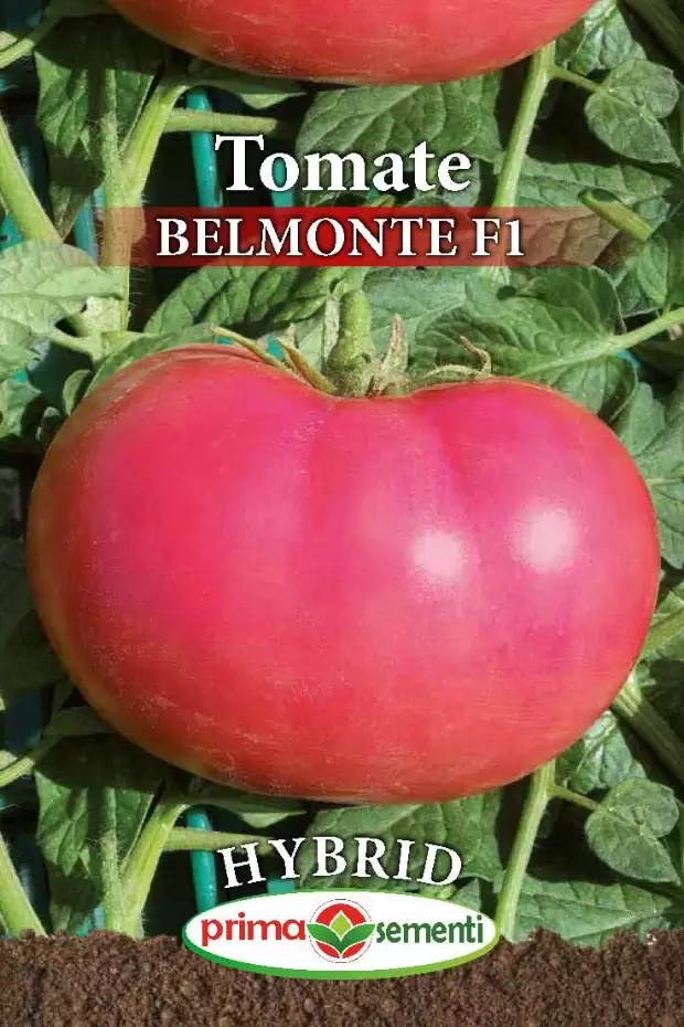Seminte rosii - Tomate Belmonte F1