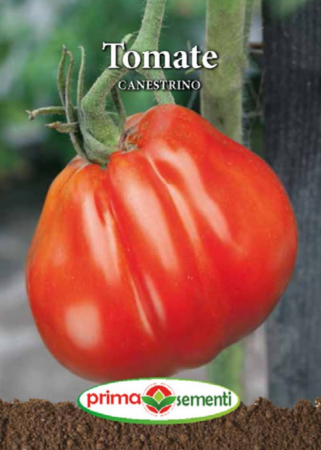 Seminte rosii - Tomate Canestrino - 0.3g