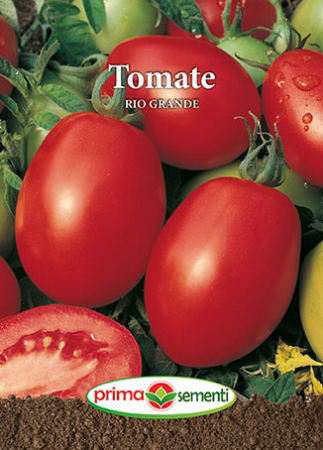 Seminte legume - Tomate Rio Grande