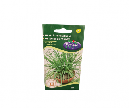 Seminte plante aromatice - Usturoi de frunze