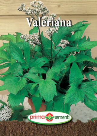 Verdeturi - Valeriana