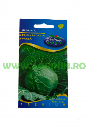 Seminte varza - Varză Gloria F1 hibrid