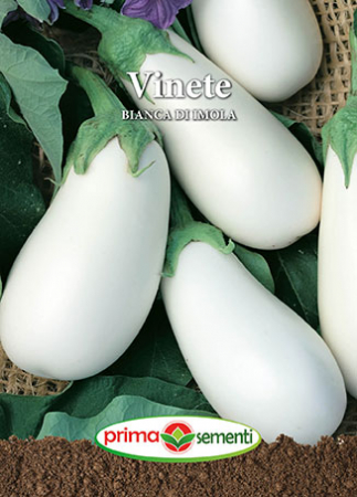 Seminte Vinete - Vinete BIANCA DI IMOLA 0.5 g