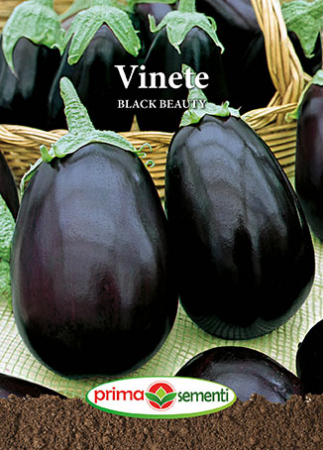 Seminte Vinete - Vinete Black Beauty 2g