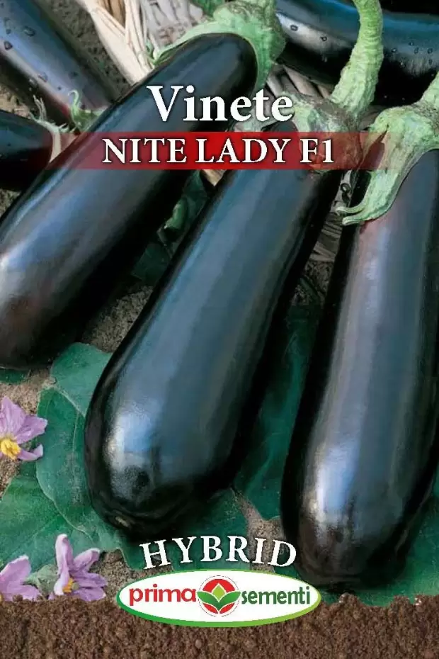 Seminte Vinete - Vinete Nite Lady F1