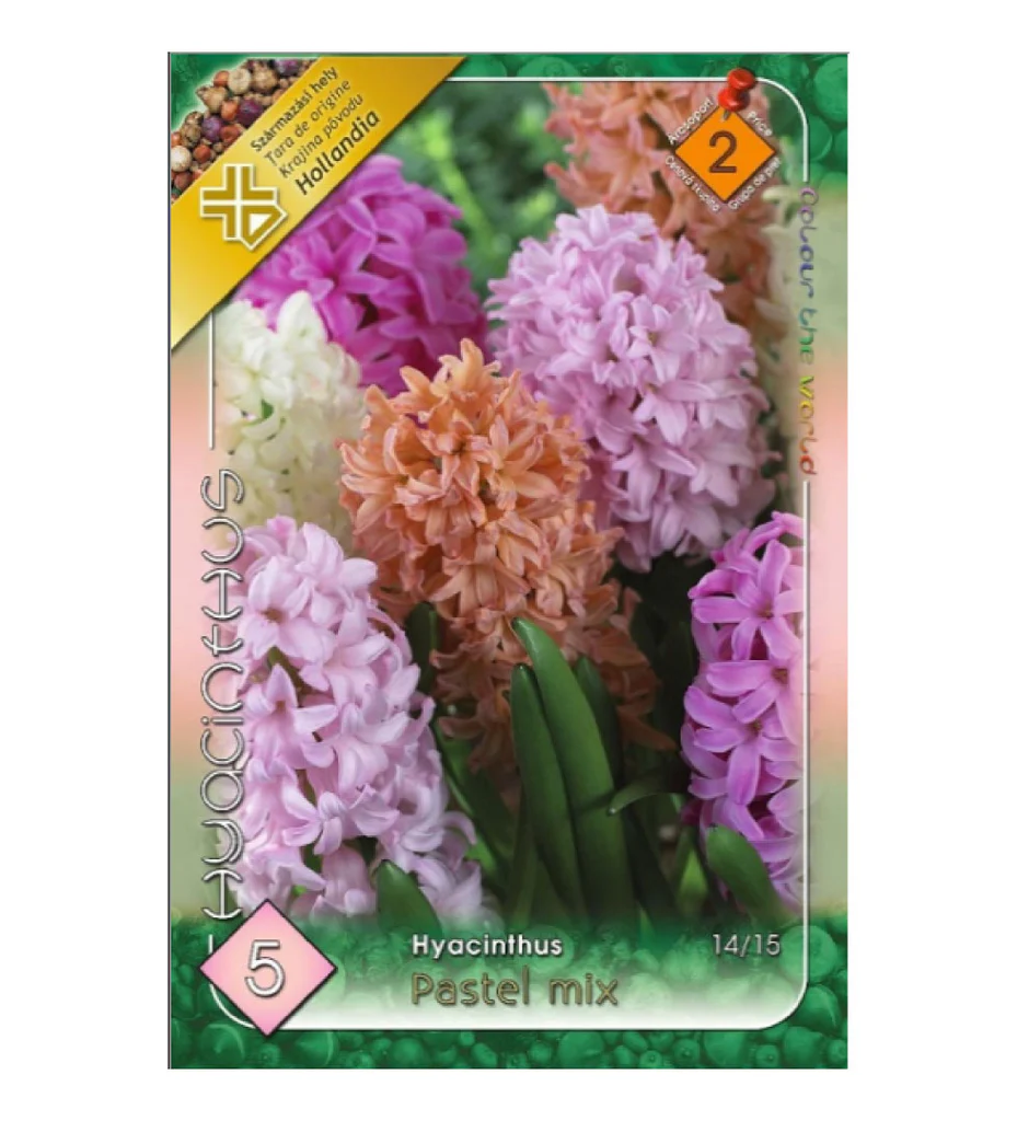 Bulbi de flori - Zambile mix de culori / Hyacinthus Pastel mixed